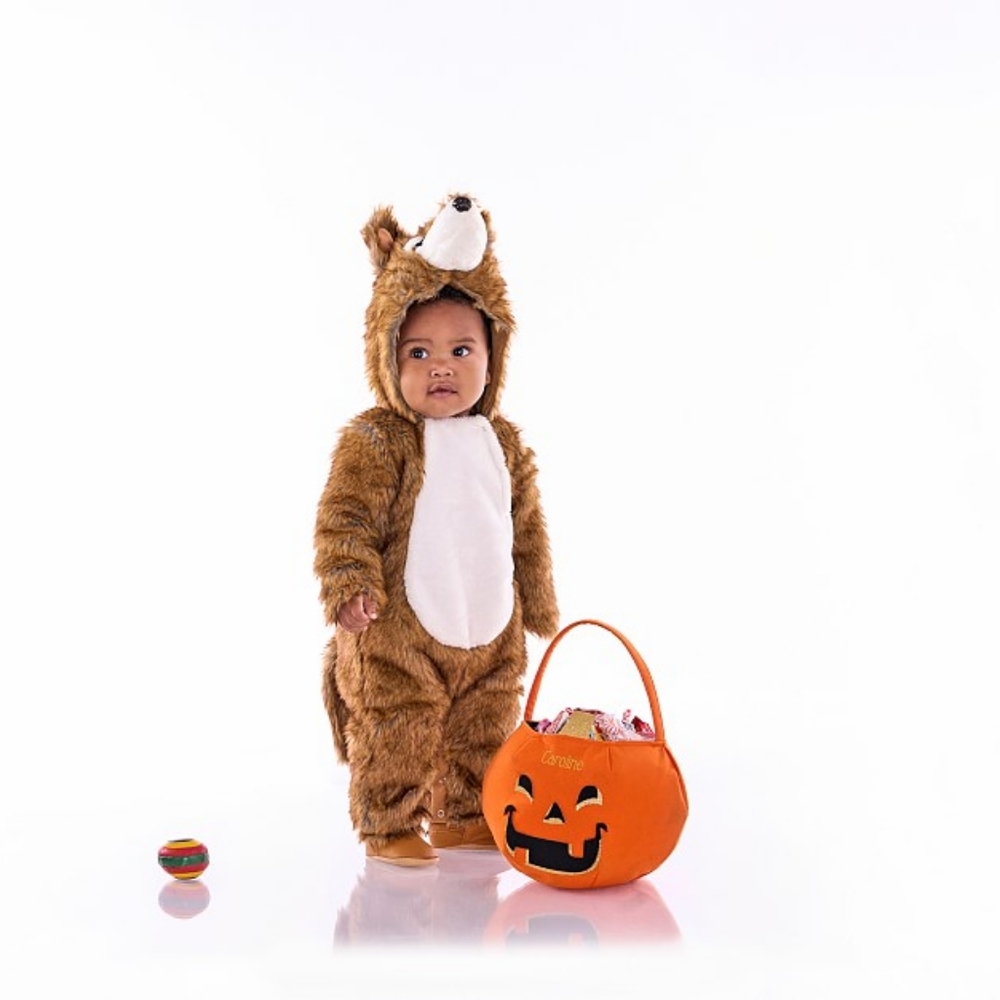 BNWT Pottery Barn Kids Big Bad Wolf Costume